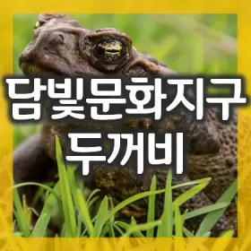 1.-담양-담빛문화지구-개발-두꺼비는-무슨-죄