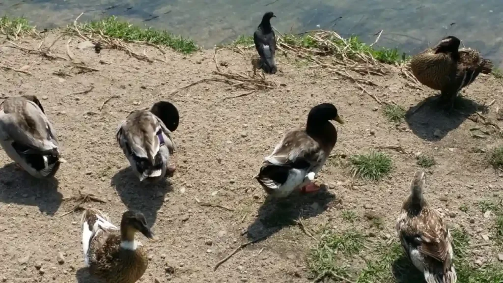 2. 적자생존 무한경쟁 직장생활