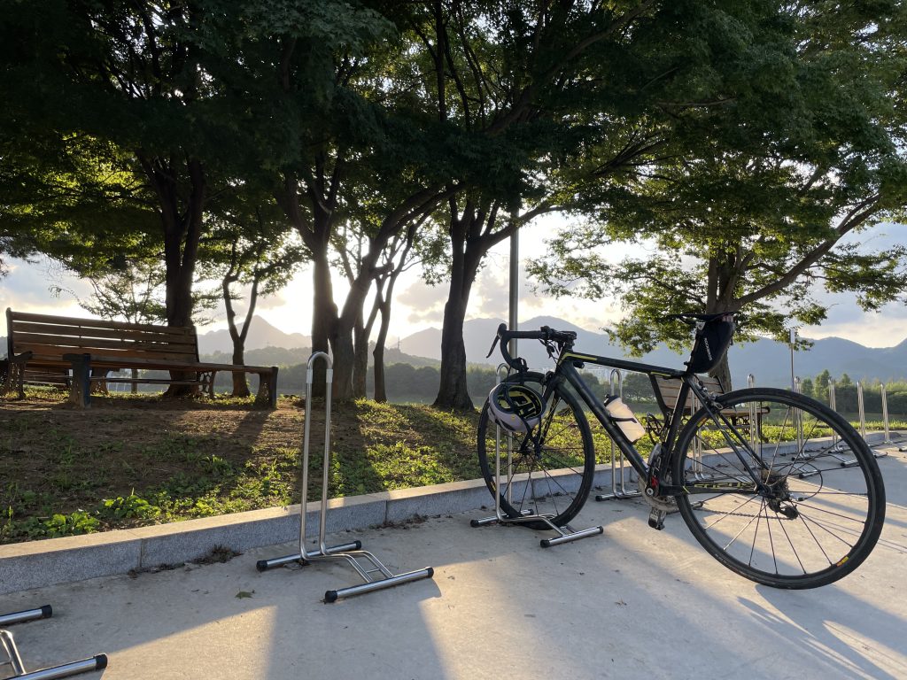 포커스 이자르코 맥스 로드자전거